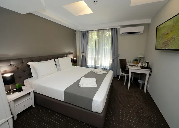 Alexandar Ii Hotel 4*