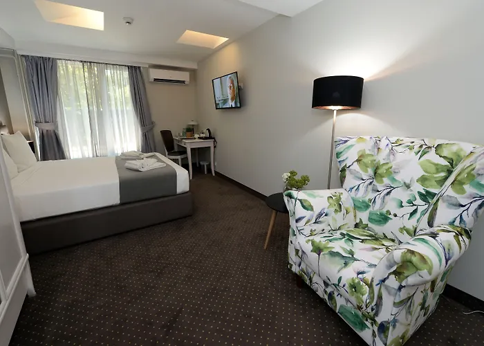 Alexandar Ii Hotel 4*