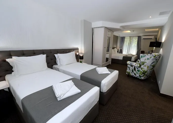 Alexandar Ii Hotel 4*